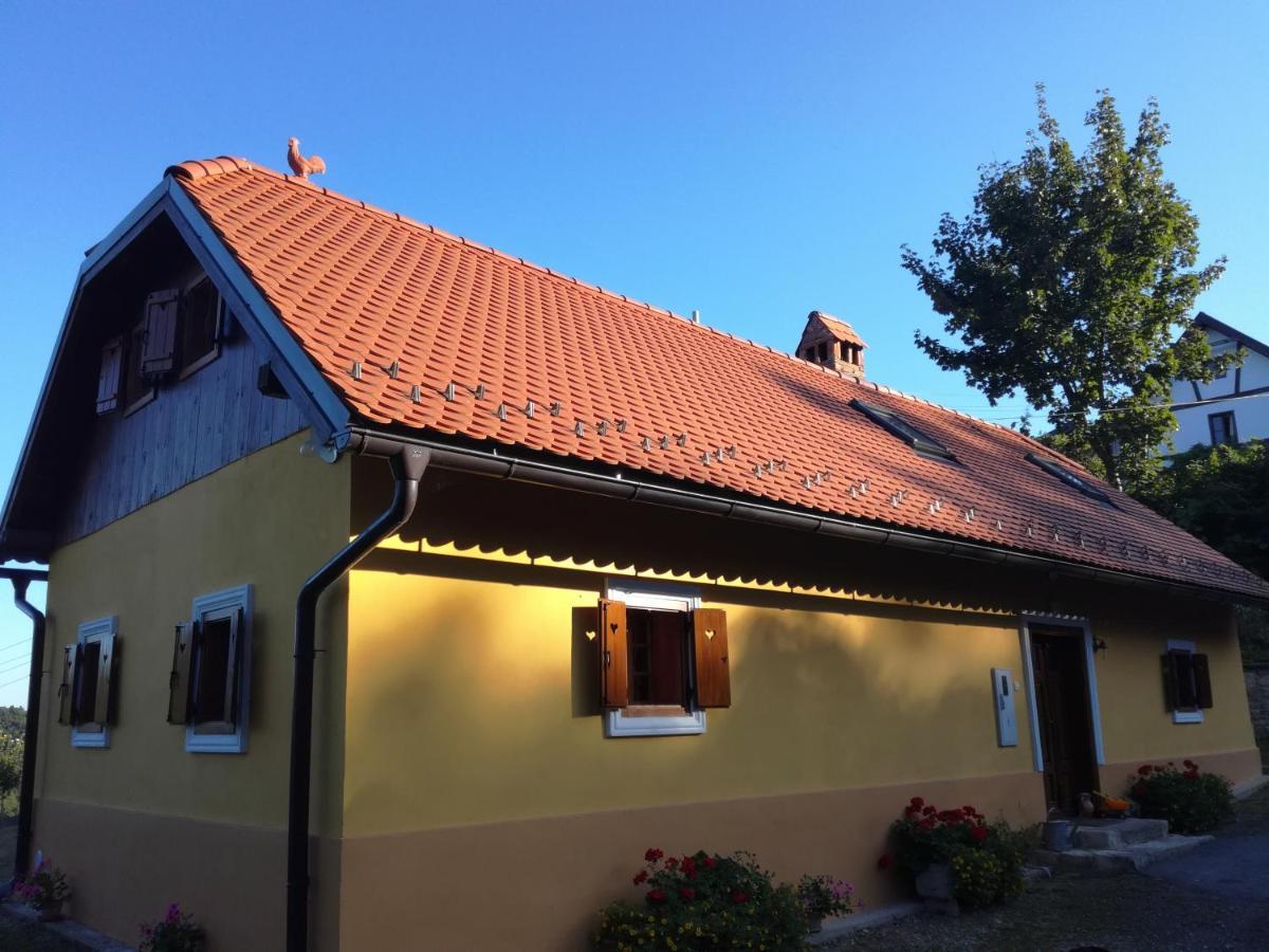 Vila Hiza Golubic Vinica Exteriér fotografie