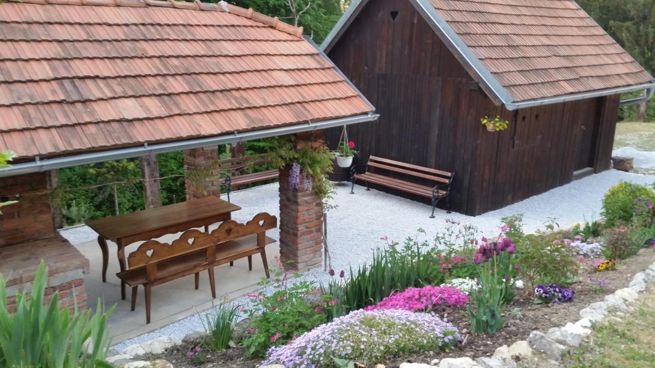 Vila Hiza Golubic Vinica Exteriér fotografie