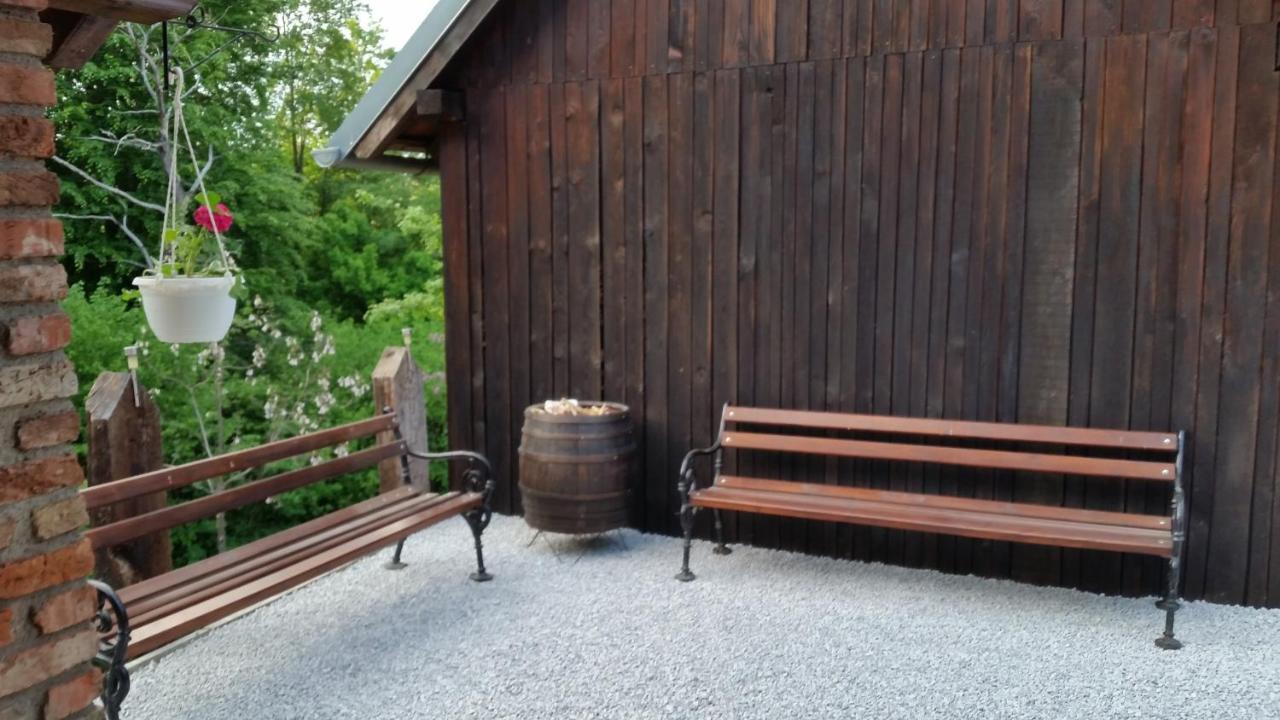 Vila Hiza Golubic Vinica Exteriér fotografie